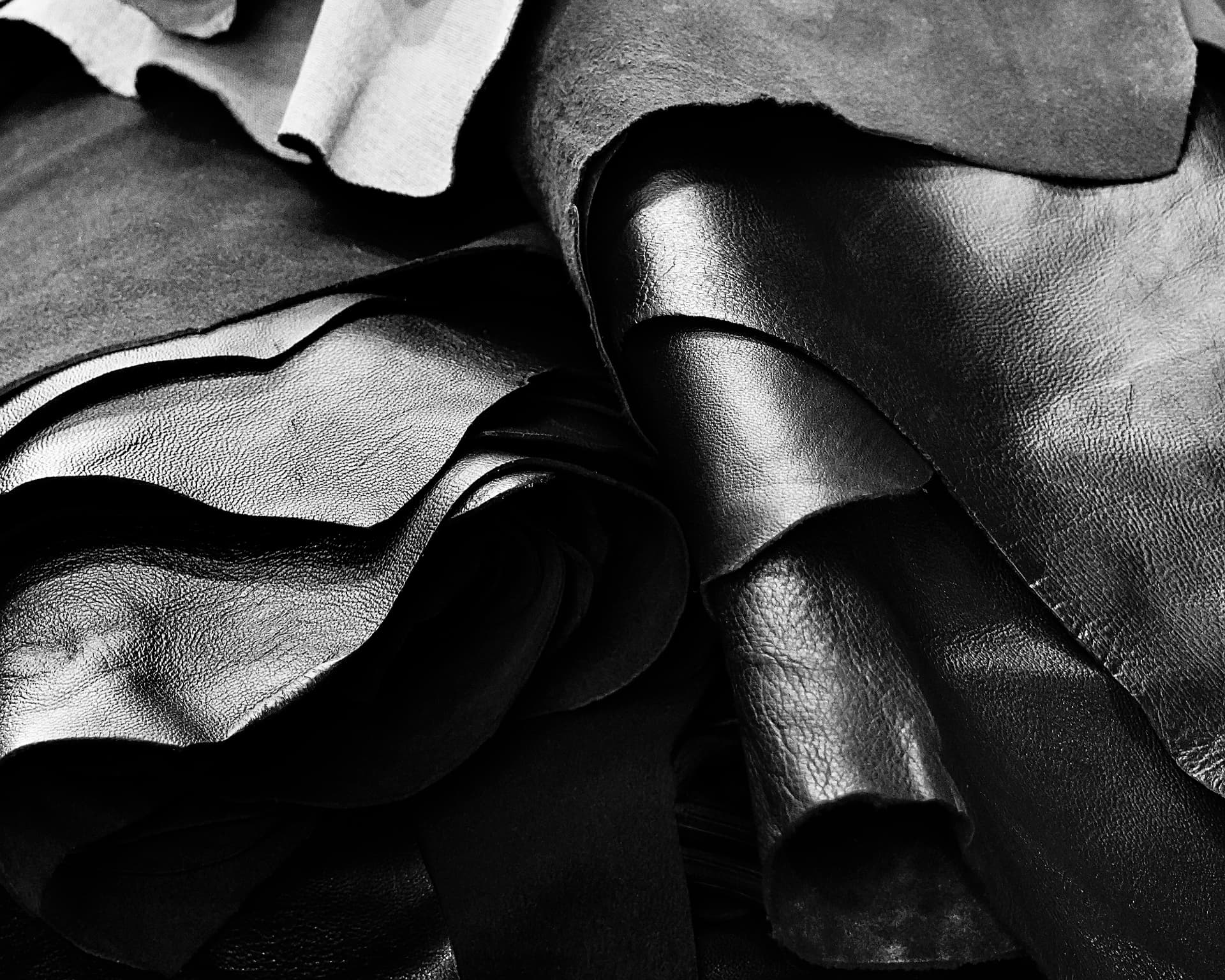 Textures de cuir et de daim Saskia Paris